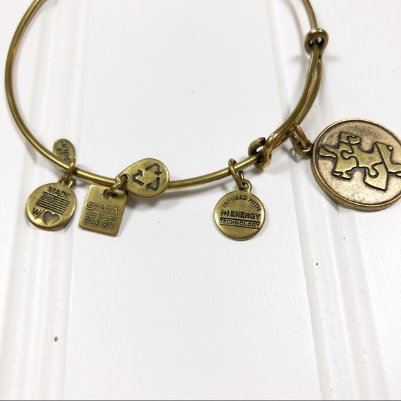 Alex and Ani Autism Charity by Design bracelet - Picture 5 of 5